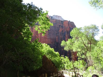 IMG_0084.jpg