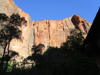 IMG_1118.jpg