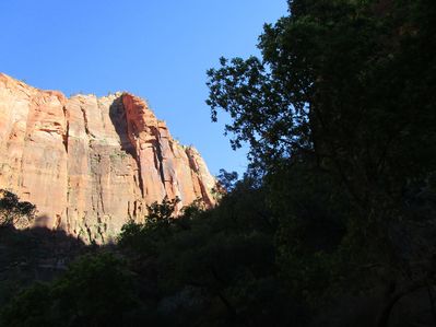 IMG_1119.jpg