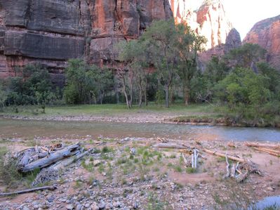 IMG_1124.jpg
