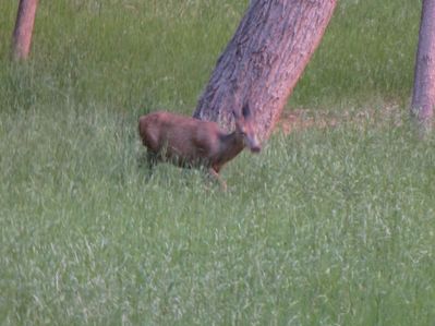 IMG_1130.jpg