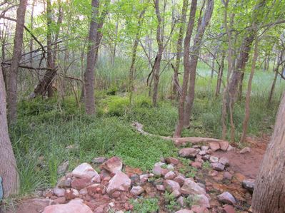 IMG_1133.jpg