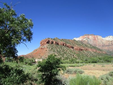 IMG_1138.jpg