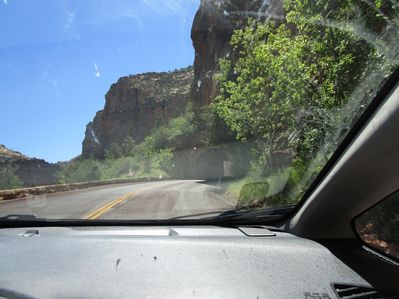 IMG_1151.jpg