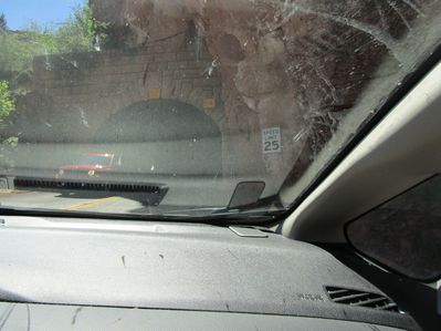IMG_1152.jpg