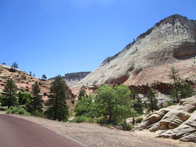IMG_1161.jpg