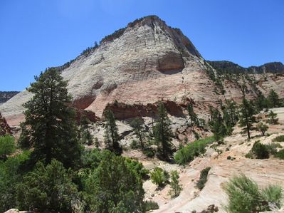 IMG_1162.jpg